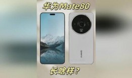mate80最新爆料消息,揭秘全新设计与尖端科技亮点