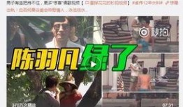 王世坚最新爆料视频播放,事件真相再引热议