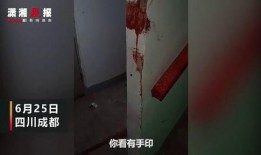 成都爆料家长打人案件最新,校园暴力引发社会关注